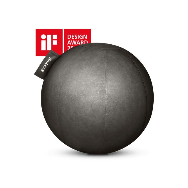 STRYVE Balance Ball Stone Grey 65 cm Active Ball – Lederstoff