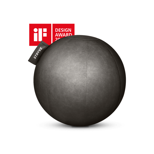 STRYVE Balance Ball Stone Grey 65 cm Active Ball – Lederstoff