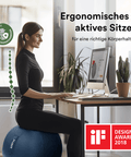 STRYVE Sitzbälle Active Ball | Kunstleder