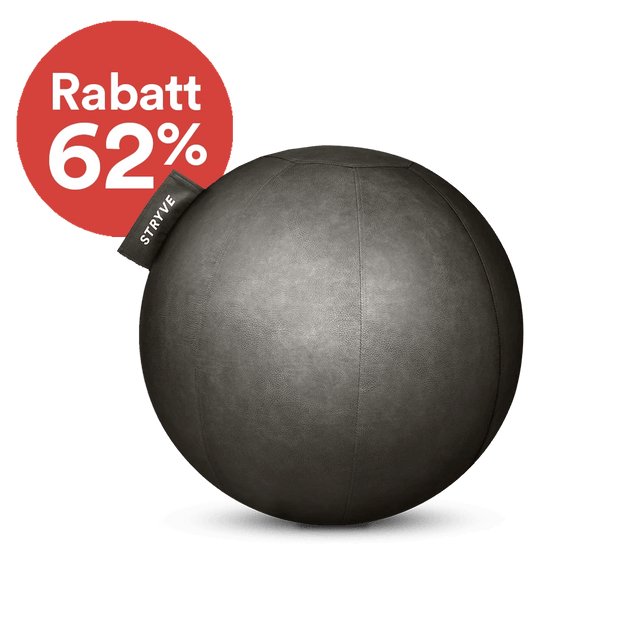 STRYVE Sitzbälle Stone Grey / 65 cm Active Ball | Kunstleder