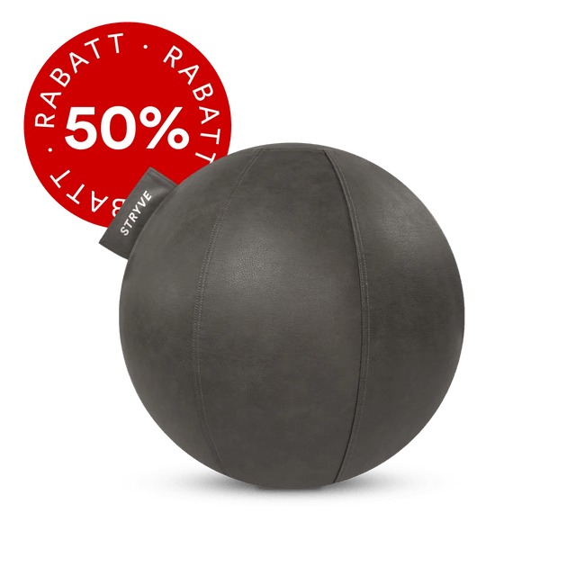 STRYVE Sitzbälle Stone Grey / 65 cm Active Ball | Kunstleder