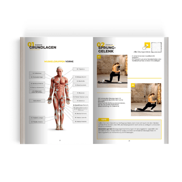 STRYVE — For the better. Coach Lu Mobility Guide (PDF)