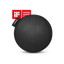 STRYVE Balance Ball All Black 65 cm Active Ball – Lederstoff