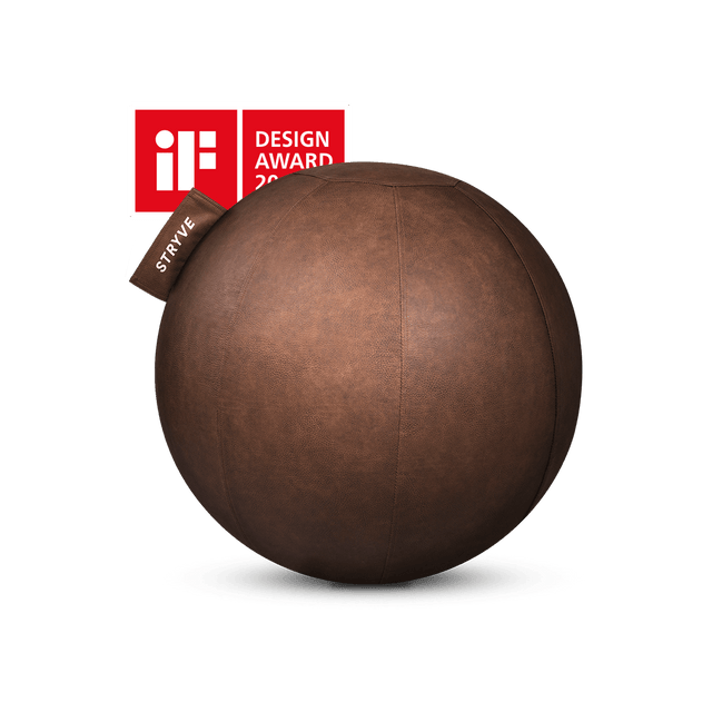 STRYVE Balance Ball Natural Brown 65 cm Active Ball – Lederstoff